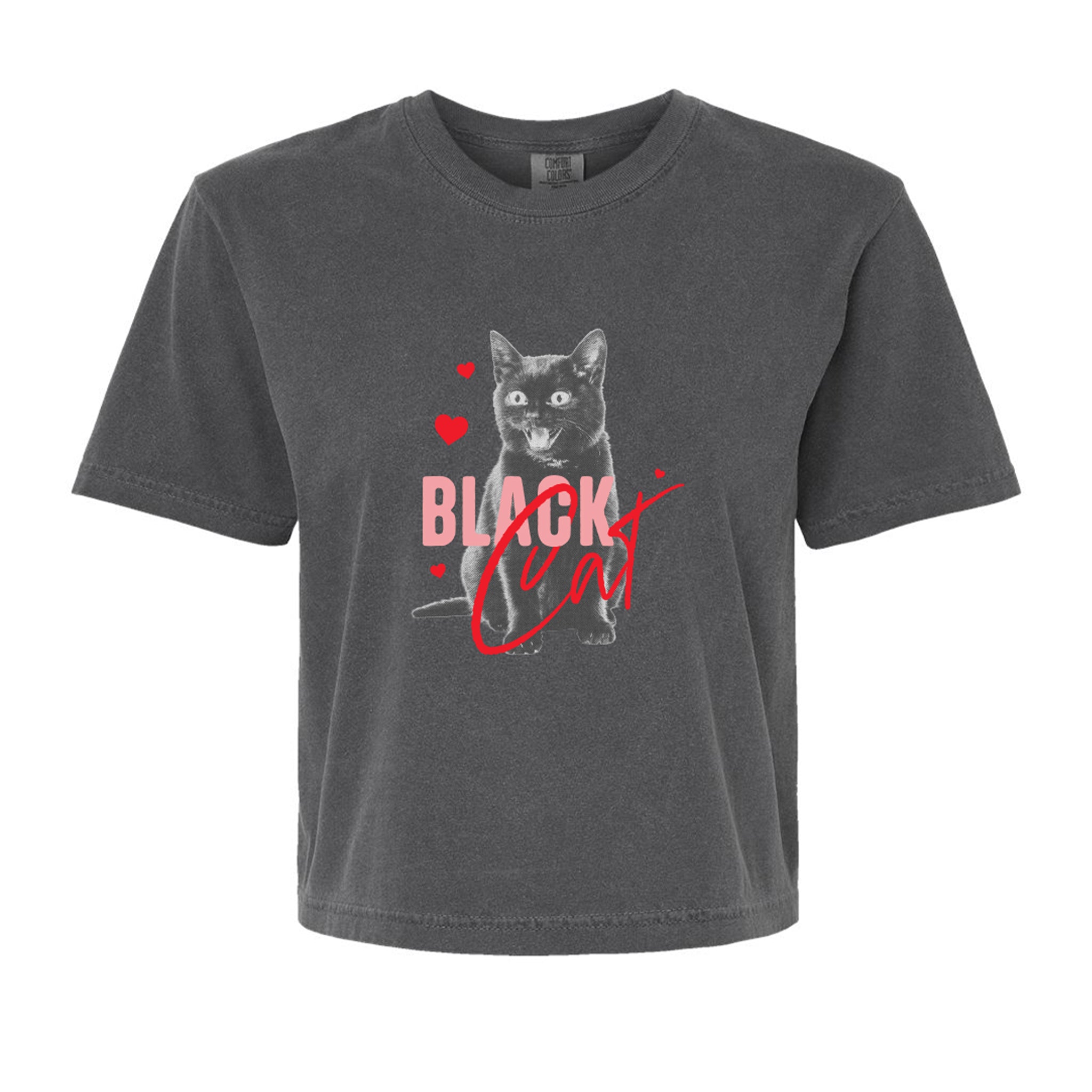 Gray t-shirt with a graphic of a black cat and text on a white background