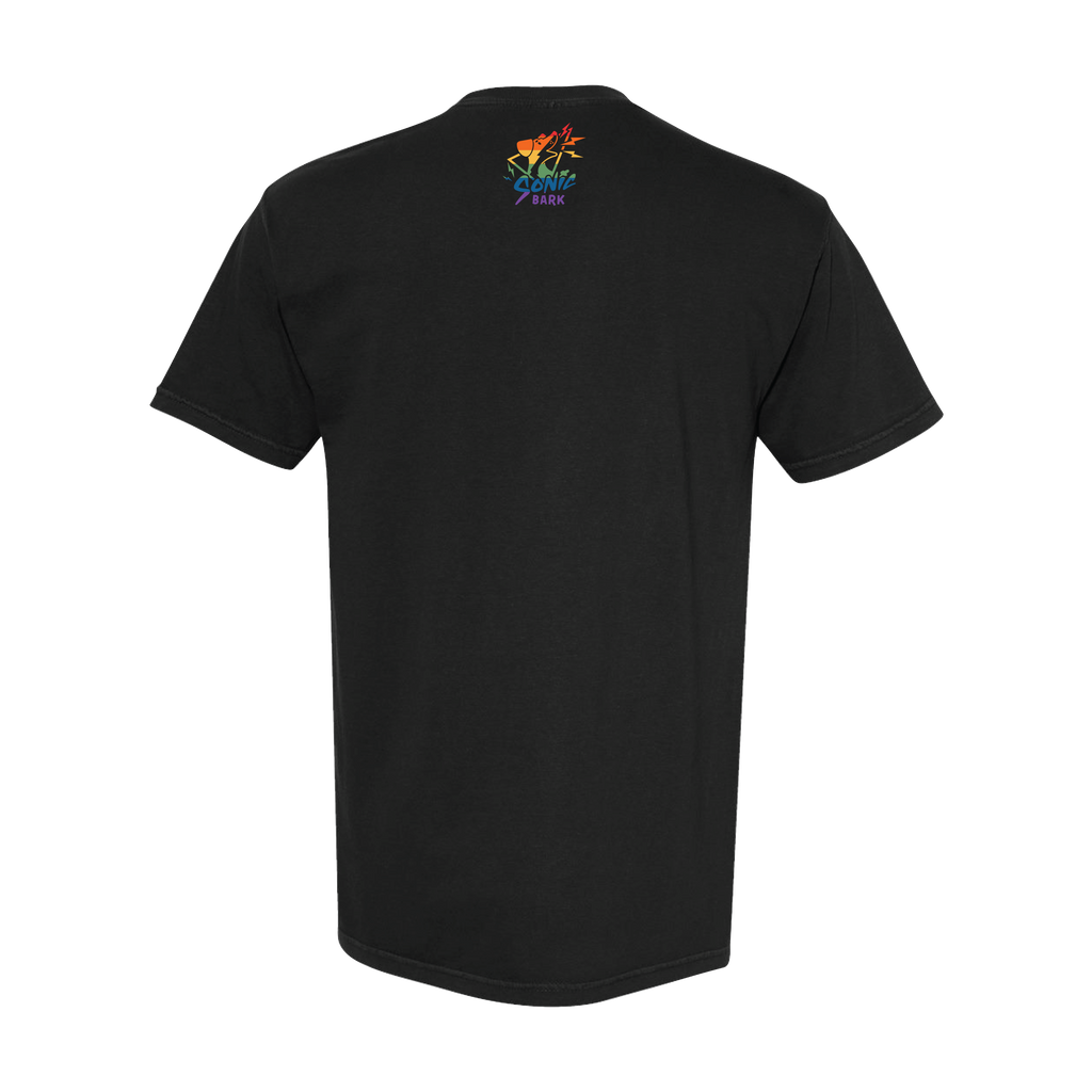 "Gay" Rainbow Wiener Dog T-Shirt