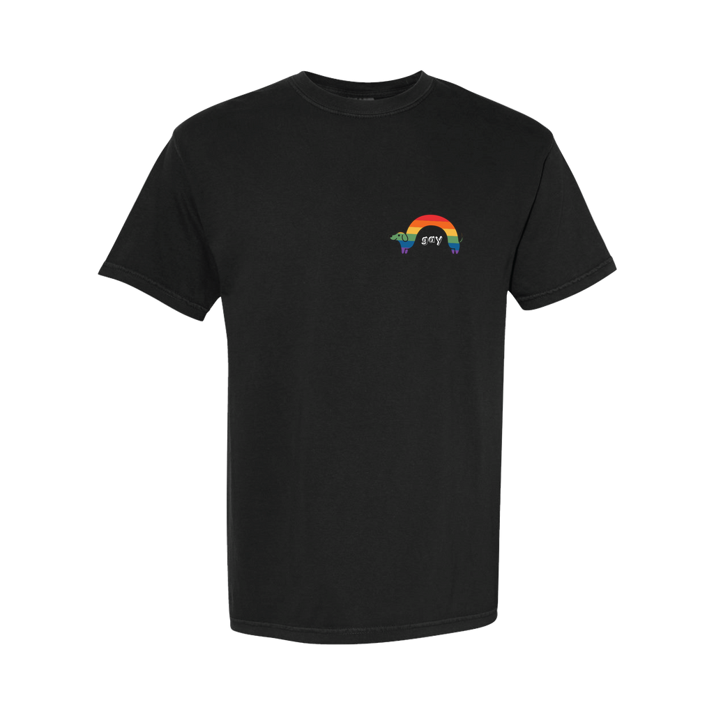 "Gay" Rainbow Wiener Dog T-Shirt