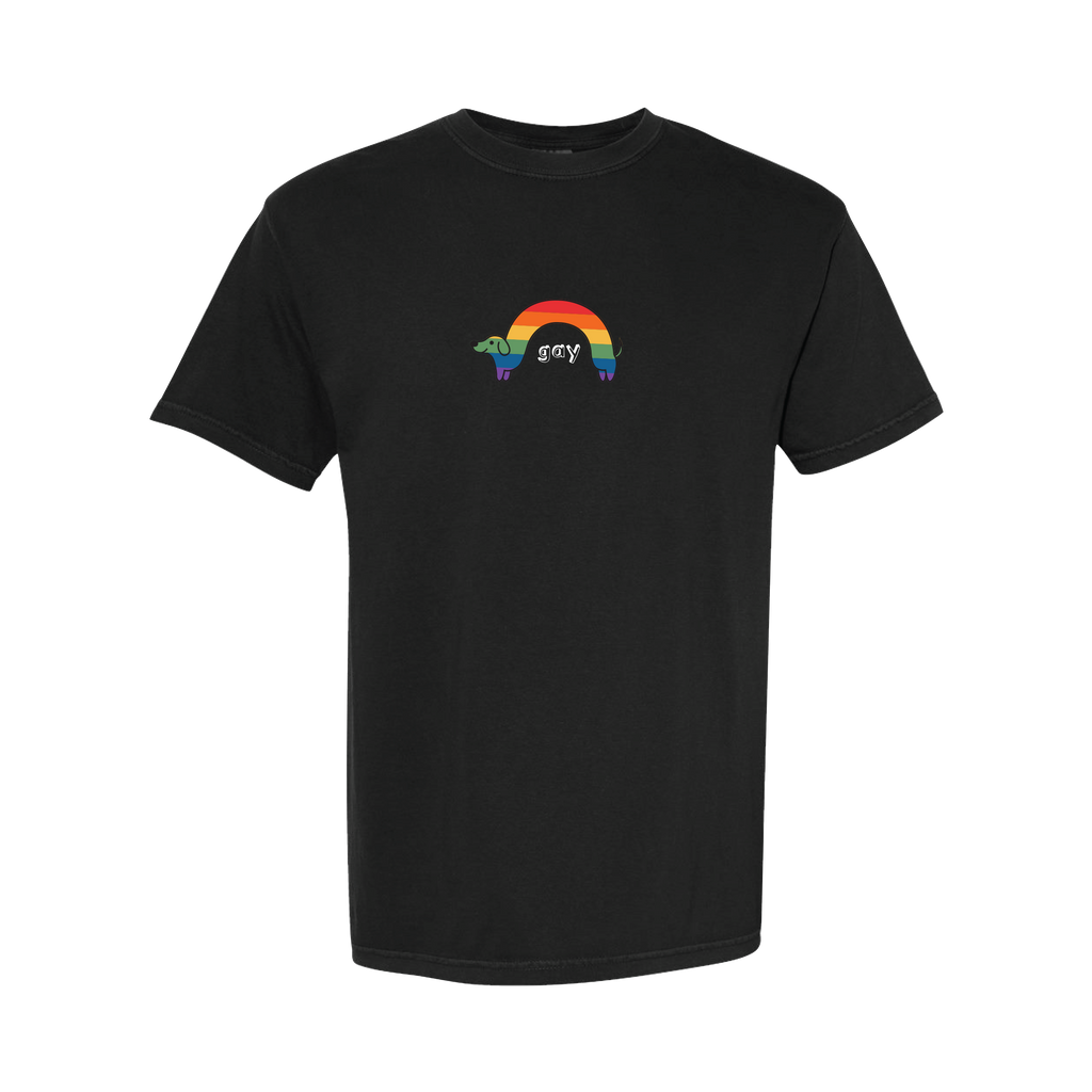 "Gay" Rainbow Wiener Dog T-Shirt