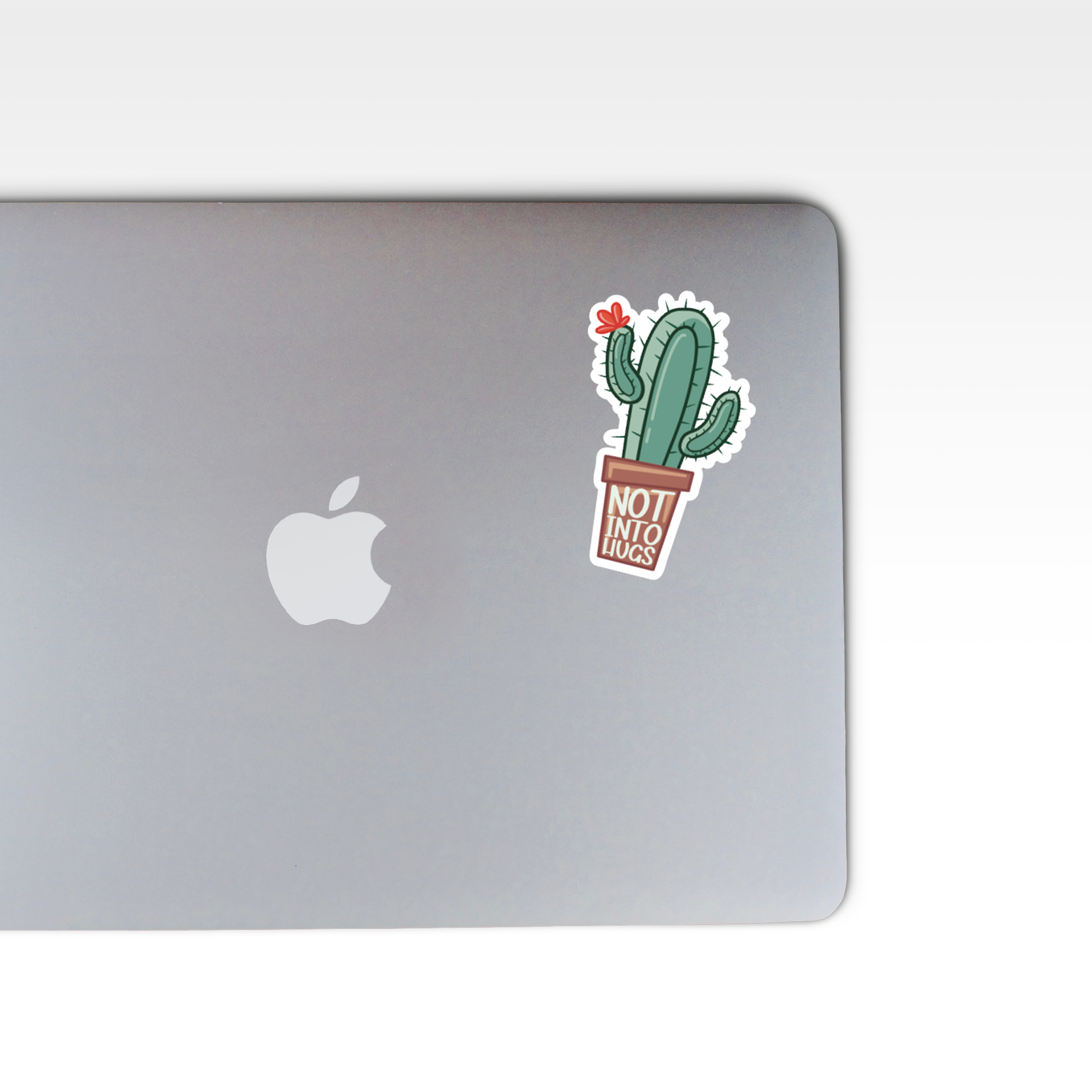 "Not Into Hugs" Cactus Sticker